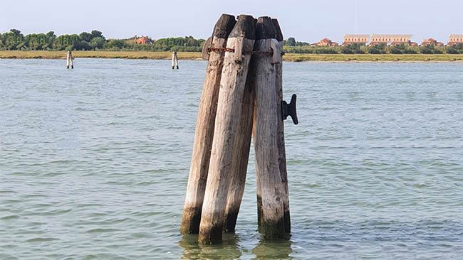 Pilones de madera para el amarre de embarcaciones. Isla de Murano. Venecia. Julio del 2021.