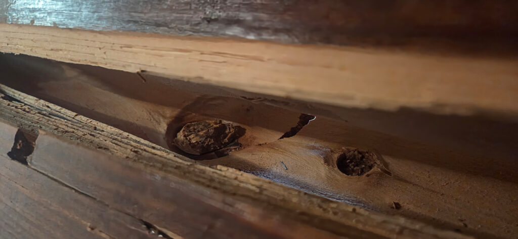 En la imagen, la rotura de un nudo interno destaca sobre el duramen de una jácena de cubierta.