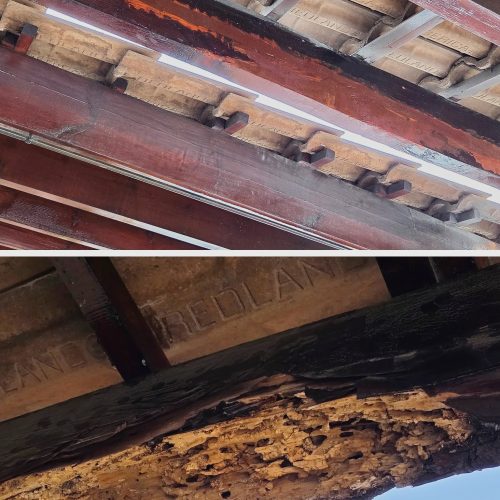 En la imagen, el antes y después de una viga de madera severamente degradada por carcomas y termitas aéreas.