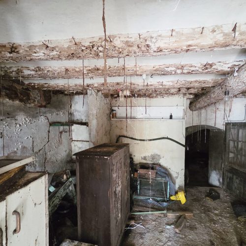 Las termitas subterráneas construyen estas construcciones, básicamente para protegerse de los depredadores – arañas, hormigas, etc – y regular las condiciones ambientales que necesitan para no deshidratarse.