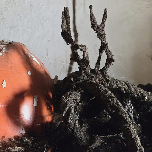 En la imagen, una construcción poco habitual generada sobre una cuerda de esparto, destaca sobre un casco abandonado de obra.