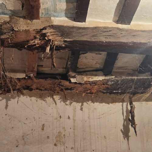 En la imagen, podemos ver un ejemplo de economía circular. Tomemos buena nota…