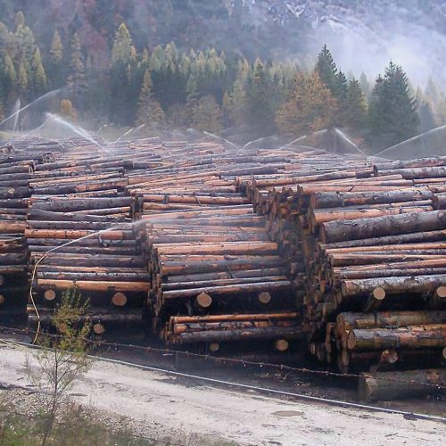 En la imagen, un parque de madera en troncos sometido a riego continuo mediante cañones de agua...